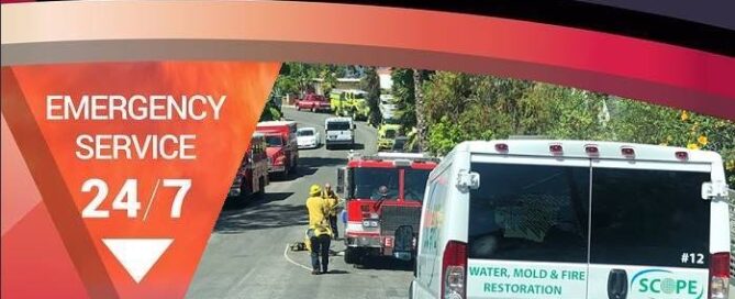smoke removal service