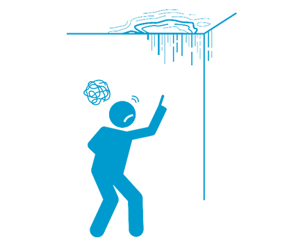 icon service Mold Remediation