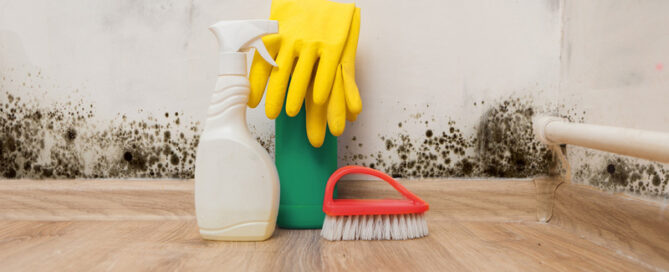 Deep Cleaning