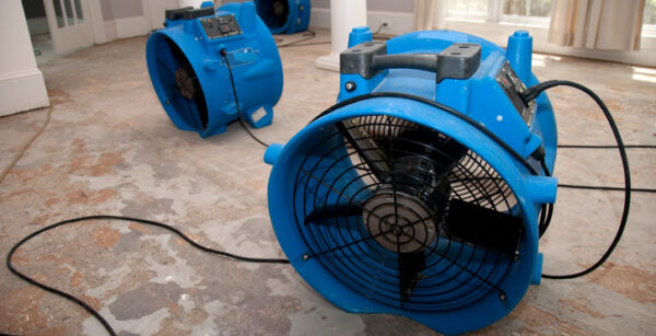 sewage flood home restoration