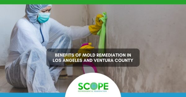 Mold Remediation