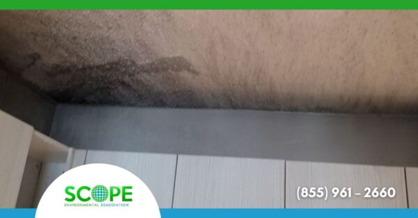 Smoke Removal