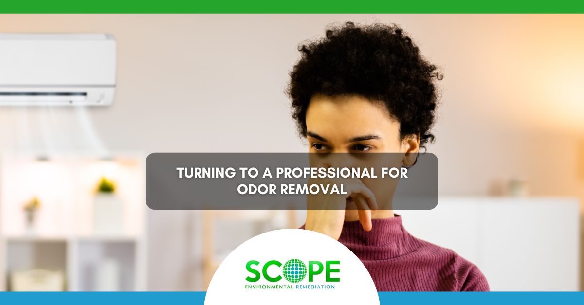Turning to a Professional for Odor Removal